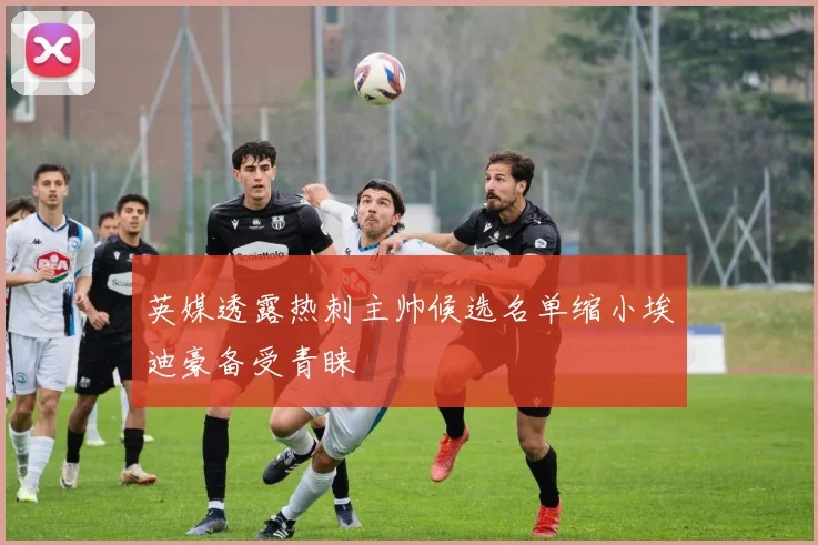 英媒透露热刺主帅候选名单缩小埃迪豪备受青睐