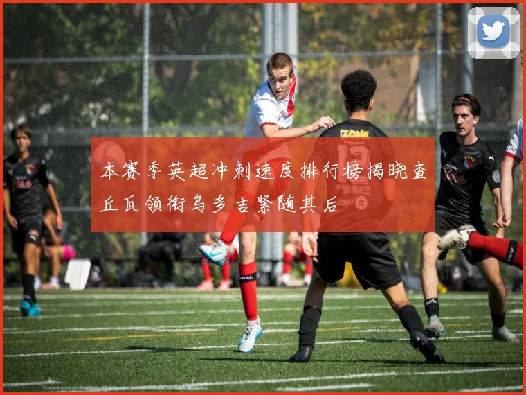 本赛季英超冲刺速度排行榜揭晓查丘瓦领衔乌多吉紧随其后